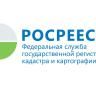 «Вывести» свой участок из леса: куда обращаться и кто имеет на это право