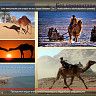 Юные натуралисты объединения «Табигат» изучают экологию в дистанционном формате